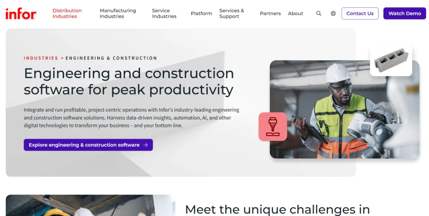 8️⃣ Infor CloudSuite